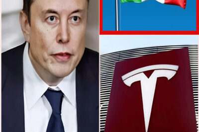 7 MINUTES AGO: Italy MAKES BOLD MOVE to SHUT DOWN Tesla and the US Automotive Industry – Elon Musk RESPONDS with SHOCKING 7-Word Message Revealing a Hidden Truth That Will Leave the World SPEECHLESS! 😱💥