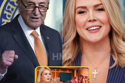 Karoline Leavitt responds to Schumer’s taunt with an unexpected bombshell.