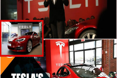 Elon Musk STUNS Wall Street: Tesla’s Market Cap SKYROCKETS to a MIND-BLOWING $11 Trillion Despite PLUMMETING Revenue and Profits – Investors LEFT Baffled by the World’s Greatest Dream Seller! 😱💥