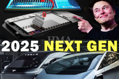 NEW Battery Change Everything To Build Tesla Affordable Car! Full Charging 5 Mins, Tesla Bot Update!
