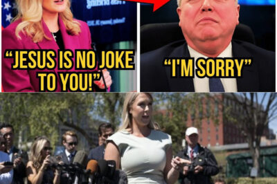 THIS JUST HAPPENED: Reporter FIRED After INSULTING Karoline Leavitt LIVE on TV—The Explosive Moment You Have to See!