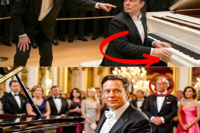 Elon Musk Mocks a Famous Pianist — Then Plays and Leaves the Whole World Speechless