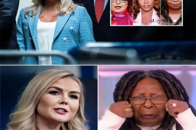 BREAKING: While The View desperately urges Karoline Leavitt to drop her $800 million lawsuit, there’s a hidden truth few know.