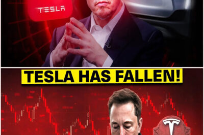 EXCLUSIVE BREAKING: Tesla COLLAPSES, Profits CRASH 71%, and Elon Musk SHOCKS the Nation with Just 12 Words ⚠️💣📉 You Won’t Believe What He Said ⬇️