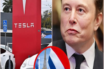 🚨 TOTAL SHOCK: France SHUTS DOWN Tesla & U.S. Auto Industry – Elon Musk Watches $138.9 BILLION EVAPORATE as the Collapse Spirals Out of Control 🔻💥💸
