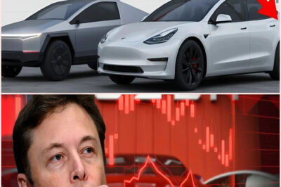 🔥 Elon Musk Hit by WAVE of DISASTERS: Tesla Returns SKYROCKET, Loyal Fans ABANDON Ship, Market Share on the BRINK – And the Money He’s Lost? UNBELIEVABLE! 😱📉