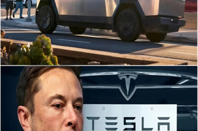 HOT NEWS 📉: Elon Musk’s Future at Tesla in Jeopardy – Investors Call for His Removal After Nearly $1 Million in Profits Vanish 💣🚗 Full details below! 🔥