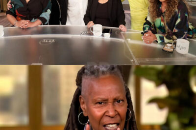 Farewell to a TV Icon: ‘The View’ Says Goodbye After Two Decades of Influence!