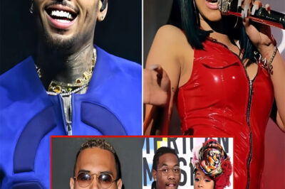 Chris Brown Determined To Reconquer Cardi B’s Heart After Breakup With Offset: Don’t Miss The Details!