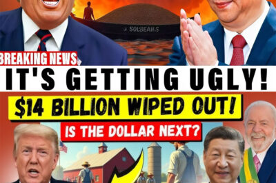 China’s Soybean Sl@ughter: A $14 Billion U.S. Commodity Wiped Out in 72 Hours—Is the Dollar Next?