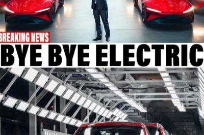 BYD: This New Energy Vehicle Will Destroy the ENTIRE EV Industry!-