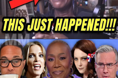 BREAKING: Joy Reid has lost her cool after being brutally fired by M.S.N.B.C. In her first interview, when she revealed the reason, no one was in any doubt.