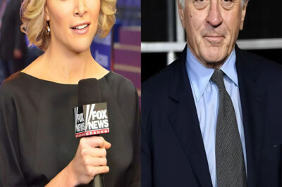 Megyn Kelly criticized Robert De Niro, calling him “stupid” in a heated exchange. Robert De Niro responded in sh0ck.