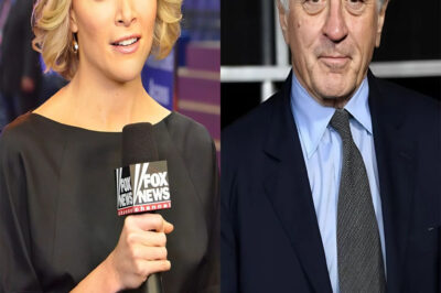 Megyn Kelly criticized Robert De Niro, calling him “stupid” in a heated exchange. Robert De Niro responded in sh0ck.