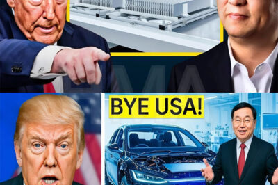 BYD Says Their Blade Battery Will DESTROY The US Auto Industry and Trump Is FURIOUS