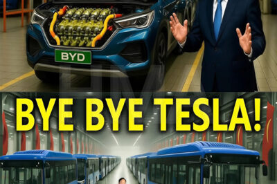 BYD CEO: This NEW Electric Bus Will Shakes The ENTIRE EV Industry!
