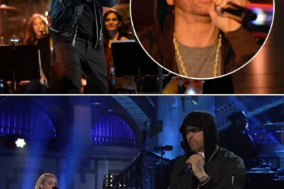 At this moment, Slim Shady as we knew him was gone! Eminem stepped onto the stage stripped of his signature bleached hair, his hip-hop outfits—all the iconic looks that had defined him for years were left behind. Instead, there stood a new Eminem, with a beard, dark hair, and a powerful presence, performing “Walk on Water,” “Stan,” and “Love the Way You Lie” alongside Skylar Grey.