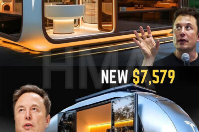 BREAKING: CEO Elon Musk Will Launch Tesla Tiny Home Under $7,799 In The Market In 2025