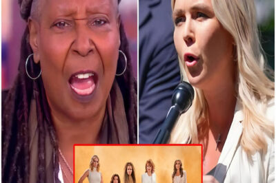BREAKING: While The View desperately urges Karoline Leavitt to drop her $800 million lawsuit, there’s a hidden truth few know.