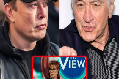 Robert De Niro defends Joy Behar and attacks Elon Musk on The View: He doesn’t deserve your trust.