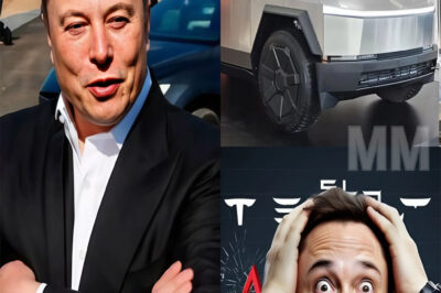 Home Uncategorized SH0CKING: A stunning collapse wiped 800,000,000,000 dollars from Tesla’s worth in just four months—Elon Musk is under intense fire from inside the company – meo SH0CKING: A stunning collapse wiped 800,000,000,000 dollars from Tesla’s worth in just four months—Elon Musk is under intense fire from inside the company