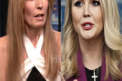 BREAKING: Fans are losing their minds after Karoline Leavitt reacted violently to veteran MSNBC host Nicolle Wallace, but when the reason was exposed, no one doubted it anymore.