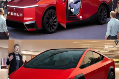 Tesla Model 2: Elon Musk Announces Under $11,795 SH0CKING Price. Never Been Cheaper!!!