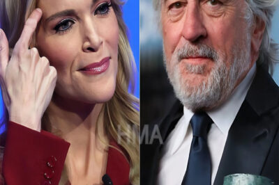 BREAKING!!! Megyn Kelly criticized Robert De Niro, calling him “stupid” in a heated exchange. Robert De Niro responded in sh0ck