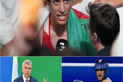 SH0CKING NEWS: Imane Khelif banned for life after WBO recognized him as a man, losing all his medals and $25 million in prize money