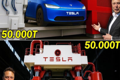 Elon Musk SH0CKED 50,000T Tesla Giga Press Machine Produce 5 NEW Tesla Model 2 At ONCE! HOW?