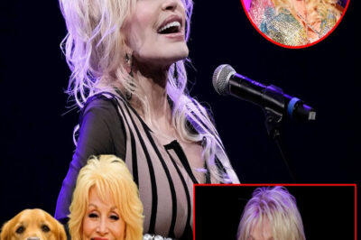 Dolly Parton ignites the web with a shocking announcement: she will invest 20 million dollars to build a ‘paradise’ dedicated to rescuing stray dogs, promising love and a home to thousands of abandoned puppies.