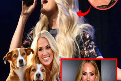 Carrie Underwood ignites the web with a shocking announcement: he will invest 20 million dollars to build a ‘paradise’ dedicated to rescuing stray dogs, promising love and a home to thousands of abandoned puppies.