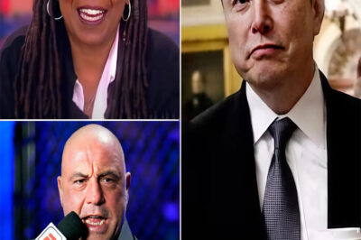 F0X NEWS BOMBSHELL: Joe Rogan SHUTS DOWN Whoopi Goldberg After Her Wild Allegations Against Elon Musk—“Enough With the Lies!”