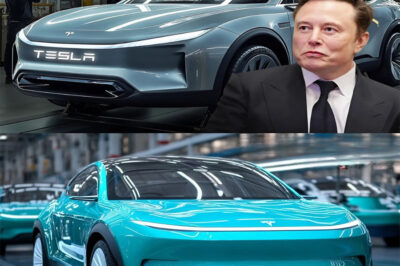 ELON MUSK SHOCKS: Model C 2025 production plan makes the technology world SURPRISED!