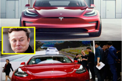 BREAKING: Tesla Model 2 Unveiled at $10,179 — Elon Musk’s Most Accessible EV Redefines the Global Car Market