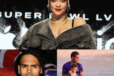 Rihanna breaks fans’ hearts: she devoted all her love to her family, while Chris Brown revealed an unexpected truth that could destroy the family happiness she protects.
