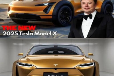 “Elon Musk Released 2025 Tesla Mannequin X: The Final Electrical SUV Improve!