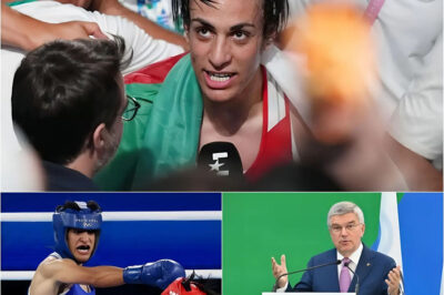 SHOCKING NEWS: Imane Khelif banned for life after WBO recognized him as a man, losing all his medals and $25 million in prize money
