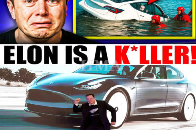 Tesla Got BANNED Internationally After Autopilot CRASHED Into Lake With Newborn Kid!
