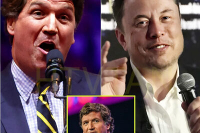 BREAKING NEWS: ELON MUSK TO BUY ABC AND APPOINT TUCKER CARLSON AS CEO—Is This THE FINAL SOLUTION TO WOKENESS?