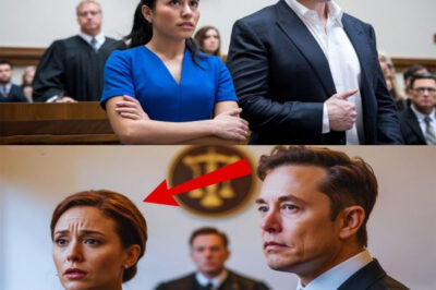 Judge Tries to Frame a Simple Woman—Until Elon Musk Stands Up and Shocks the Entire Courtroom!