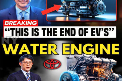 Hyundai CEO: “This New Engine Will Destroy The Entire EV Industry!”-