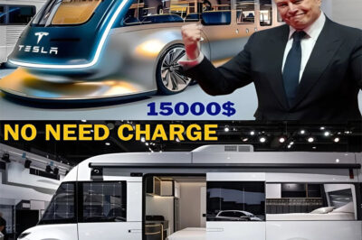 Elon Musk has just launched the new Motor Home model for only 15,000 USD – marking a turning point in the affordable luxury car segment. Breakthrough design, superior amenities, opening a new era for luxurious mobile life that everyone can own!
