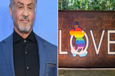 Sylvester Stallone Rejects $2M Disney Pride Animation Voice-Over Deal: “Never a Part of Wokeness for Kids”
