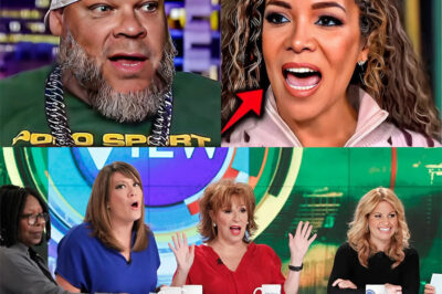 ABC IN CRISIS: The View Yanked Off Air After Explosive Confrontation With Tyrus—Network Refuses to Explain Vanishing Act as Fans Demand to Know What Was Said When the Cameras Went Dark