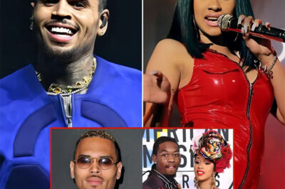 Chris Brown Determined To Reconquer Cardi B’s Heart After Breakup With Offset: Don’t Miss The Details!