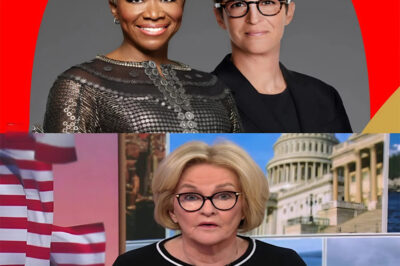 Without her, MSNBC is a sinking ship.” View’s Queen Rachel Maddow Leaves—MSNBC’s Ratings CRASH as Network Struggles to Recover!