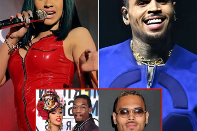 Chris Brown Determined To Reconquer Cardi B’s Heart After Breakup With Offset: Don’t Miss The Details!