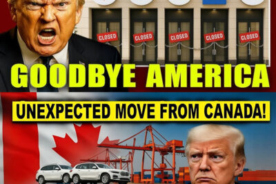 “Why Are American Car Companies Moving to Canada? This Decision Has Many Worried About the Future of American Industry!”