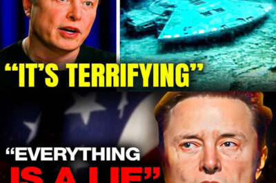 “Elon Musk Shocks With Statement: Earth’s Oceans Are Just Part Of A Space Simulation Created By Aliens – What Makes Him Believe In This Hypothesis?”